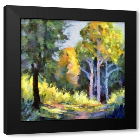 Forest Walk Black Modern Wood Framed Art Print with Double Matting by Bolokofsky, Ronald