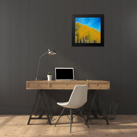 Aspens In Autumn  Black Modern Wood Framed Art Print by Bolokofsky, Ronald