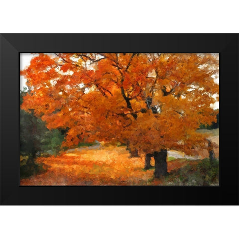 Autumn Landscape Black Modern Wood Framed Art Print by Bolokofsky, Ronald