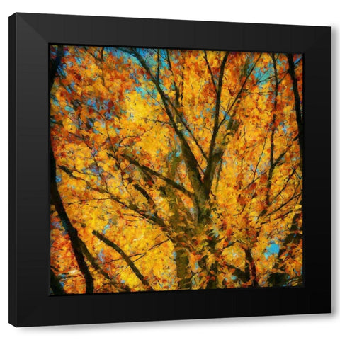 Autumn Leaves II Black Modern Wood Framed Art Print by Bolokofsky, Ronald