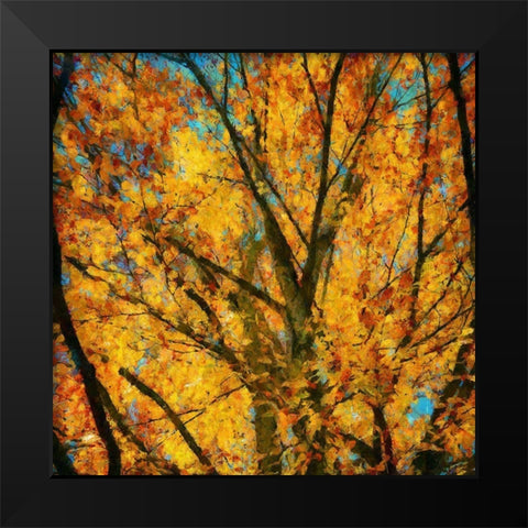 Autumn Leaves II Black Modern Wood Framed Art Print by Bolokofsky, Ronald