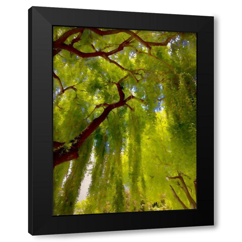 Big Shade II Black Modern Wood Framed Art Print with Double Matting by Bolokofsky, Ronald