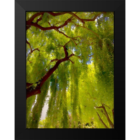 Big Shade II Black Modern Wood Framed Art Print by Bolokofsky, Ronald