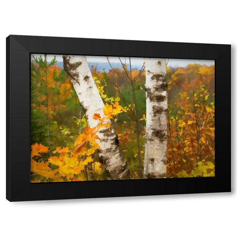 Birch Trees Black Modern Wood Framed Art Print by Bolokofsky, Ronald
