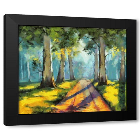 Forest Road II Black Modern Wood Framed Art Print with Double Matting by Bolokofsky, Ronald