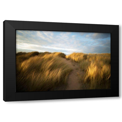 Grassy Dune Black Modern Wood Framed Art Print by Bolokofsky, Ronald