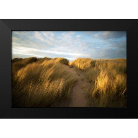 Grassy Dune Black Modern Wood Framed Art Print by Bolokofsky, Ronald