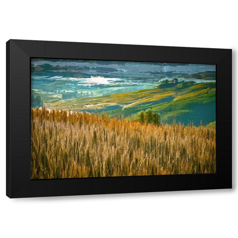 Misty Morning In Tuscany Black Modern Wood Framed Art Print by Bolokofsky, Ronald