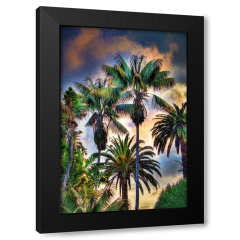 Palm Haven Black Modern Wood Framed Art Print with Double Matting by Bolokofsky, Ronald