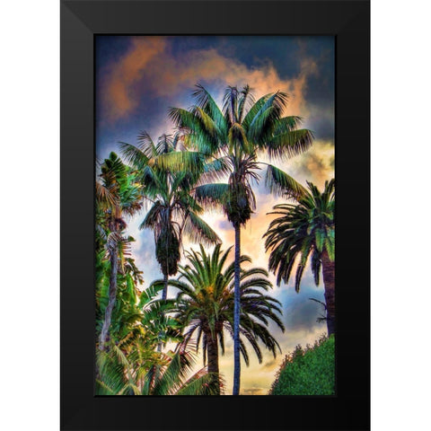 Palm Haven Black Modern Wood Framed Art Print by Bolokofsky, Ronald