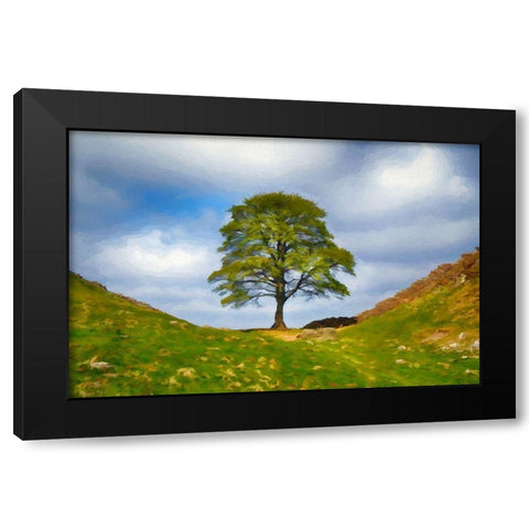 Sycamore Hill Black Modern Wood Framed Art Print by Bolokofsky, Ronald