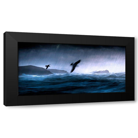 Flying Through the Storm Black Modern Wood Framed Art Print with Double Matting by Bolokofsky, Ronald