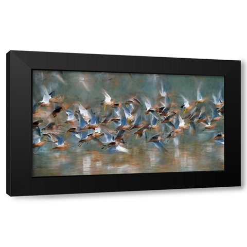 Long Billed Dowitcher Black Modern Wood Framed Art Print with Double Matting by Bolokofsky, Ronald
