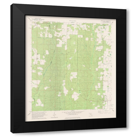 Walnut Hill Florida Quad - USGS 1978 Black Modern Wood Framed Art Print with Double Matting by USGS