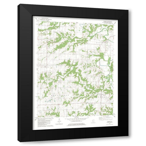 Camden Illinois Quad - USGS 1981 Black Modern Wood Framed Art Print with Double Matting by USGS