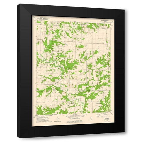 Fandon Illinois Quad - USGS 1974 Black Modern Wood Framed Art Print with Double Matting by USGS