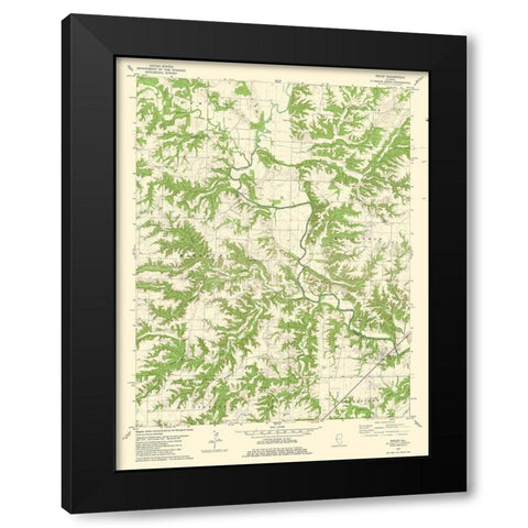 Ripley Illinois Quad - USGS 1981 Black Modern Wood Framed Art Print with Double Matting by USGS