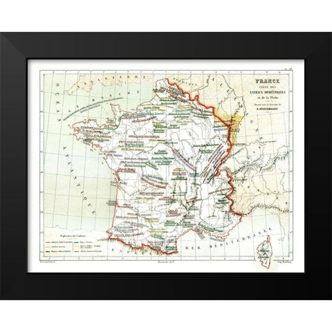 Domestic Animals France - Cortambert 1880 Black Modern Wood Framed Art Print by Cortambert