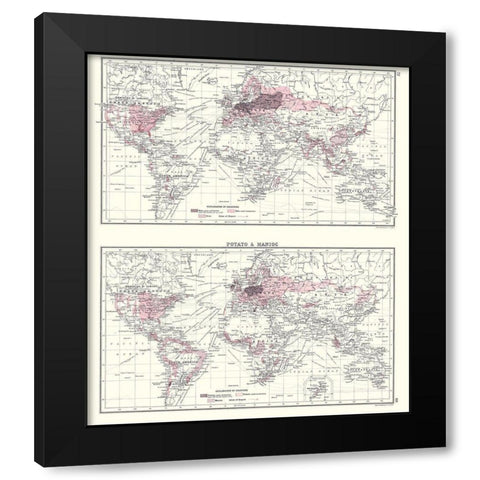 Global Potato Manioc - Bartholomew 1907 Black Modern Wood Framed Art Print with Double Matting by Bartholomew