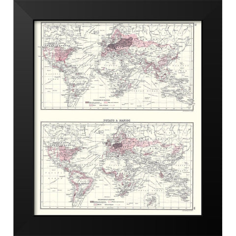 Global Potato Manioc - Bartholomew 1907 Black Modern Wood Framed Art Print by Bartholomew