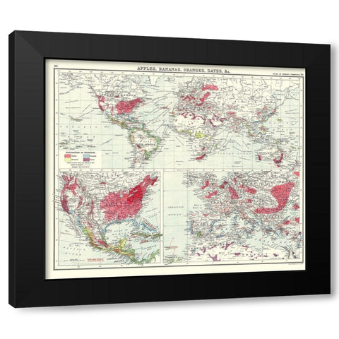 Apples Bananas Oranges Dates World - Newnes 1907 Black Modern Wood Framed Art Print by Newnes