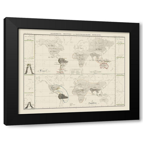 World Herpetological - 1845 Black Modern Wood Framed Art Print by Unknown