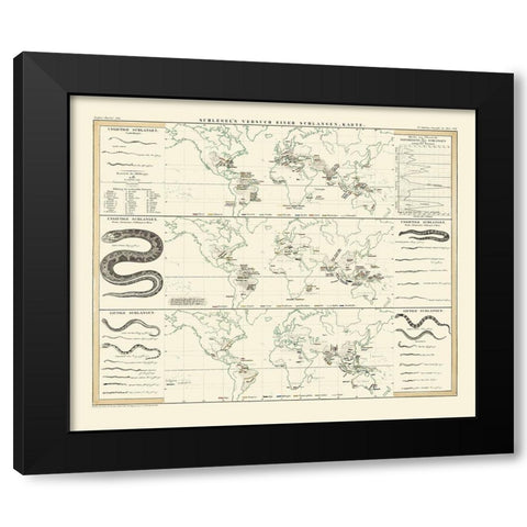 World Snakes - Berghaus Black Modern Wood Framed Art Print by Berghaus