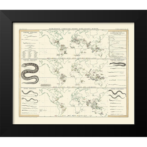 World Snakes - Berghaus Black Modern Wood Framed Art Print by Berghaus