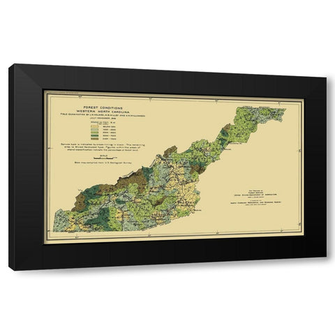 Western North Carolina Forest Conditions 1909 Black Modern Wood Framed Art Print by USFS