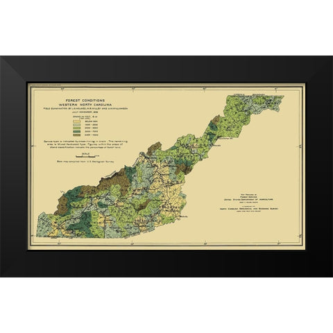 Western North Carolina Forest Conditions 1909 Black Modern Wood Framed Art Print by USFS