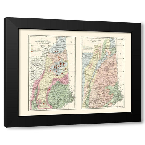 New Hampshire Agricultural - Hitchcock 1877 Black Modern Wood Framed Art Print with Double Matting by Hitchcock