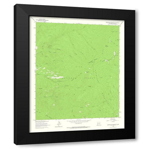 Bearwallow Mountain New Mexico Quad - USGS 1963 Black Modern Wood Framed Art Print with Double Matting by USGS