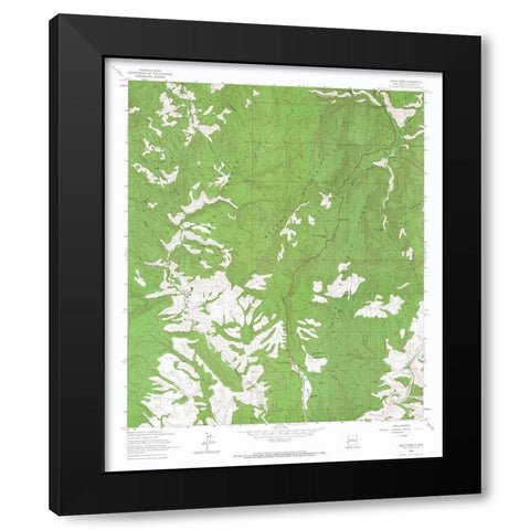 Salize Pass New Mexico Quad - USGS 1963 Black Modern Wood Framed Art Print with Double Matting by USGS