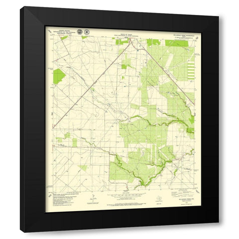 Bullshead Creek Texas Quad - USGS 1979 Black Modern Wood Framed Art Print with Double Matting by USGS