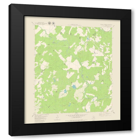 Blanket Springs Texas Quad - USGS 1979 Black Modern Wood Framed Art Print with Double Matting by USGS