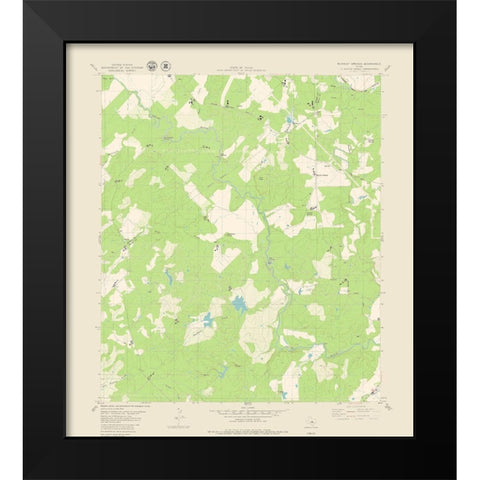 Blanket Springs Texas Quad - USGS 1979 Black Modern Wood Framed Art Print by USGS