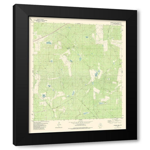 Burrito Tank Texas Quad - USGS 1980 Black Modern Wood Framed Art Print with Double Matting by USGS