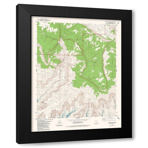 Navajo Point Utah Quad - USGS 1985 Black Modern Wood Framed Art Print with Double Matting by USGS