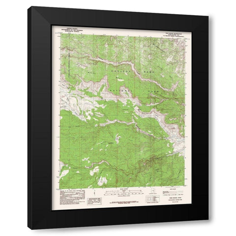 Twin Rocks Utah Quad - USGS 1985 Black Modern Wood Framed Art Print with Double Matting by USGS