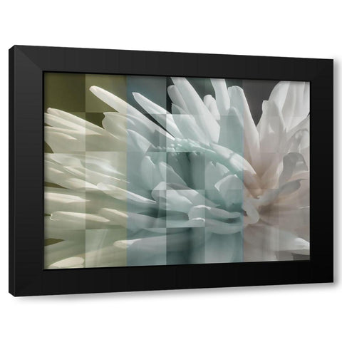Checkered Dhalia Pastels Black Modern Wood Framed Art Print with Double Matting by Bartola