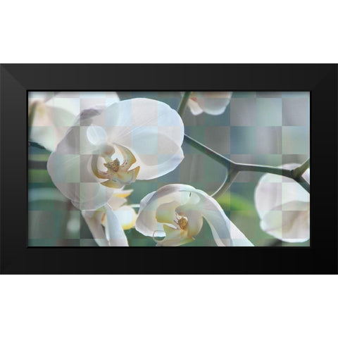 Checkered Orchid Black Modern Wood Framed Art Print by Bartola