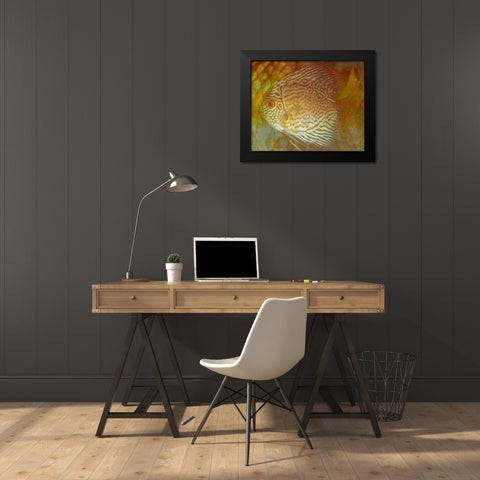Discus II Black Modern Wood Framed Art Print by Bartola