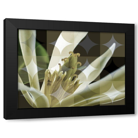 Floral Design II Black Modern Wood Framed Art Print with Double Matting by Bartola