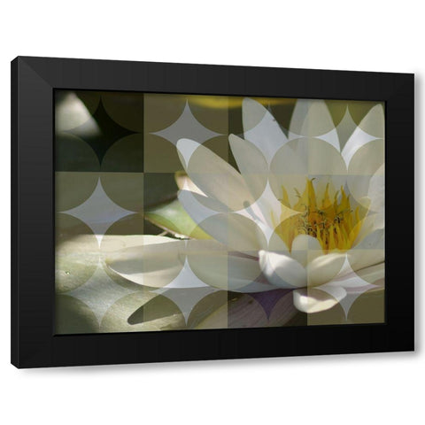 Floral Design VI Black Modern Wood Framed Art Print with Double Matting by Bartola
