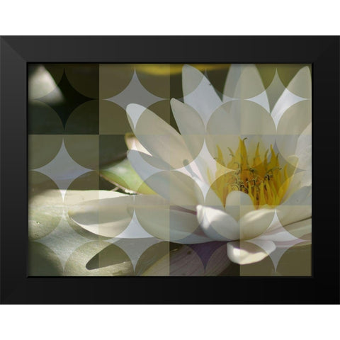Floral Design VI Black Modern Wood Framed Art Print by Bartola