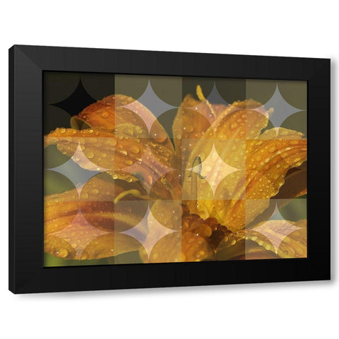 Floral Design VII Black Modern Wood Framed Art Print with Double Matting by Bartola