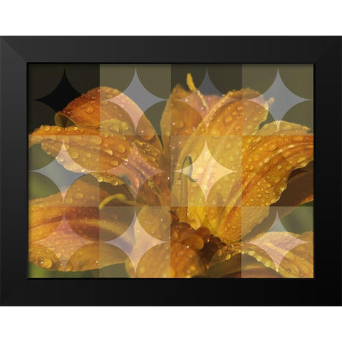 Floral Design VII Black Modern Wood Framed Art Print by Bartola
