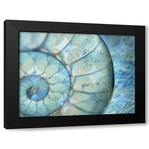 La Concha Marsala Black Modern Wood Framed Art Print with Double Matting by Bartola