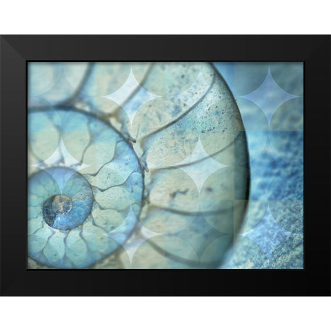 La Concha Marsala Black Modern Wood Framed Art Print by Bartola