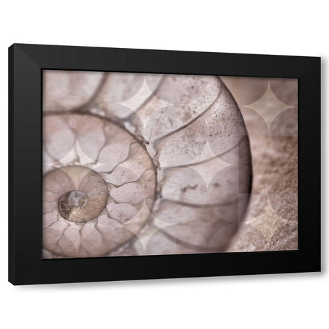 La Concha I Black Modern Wood Framed Art Print with Double Matting by Bartola